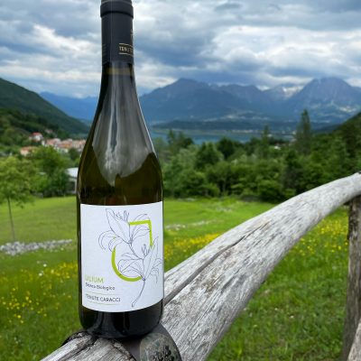 vino bianco