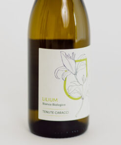 Lilium Bianco Bottiglia