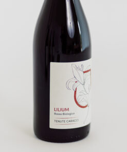 Alternative view of Lilium Rosso