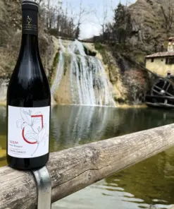 Lilium rosso Sicilia