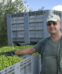 Olio EVO Nocellara del Belice