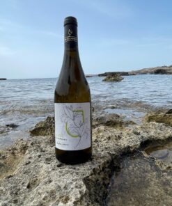 Vino bianco biologico agricolo Siciliano