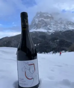 Vino rosso Lilium biologico