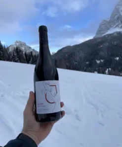 Vino rosso biologico Sicilia